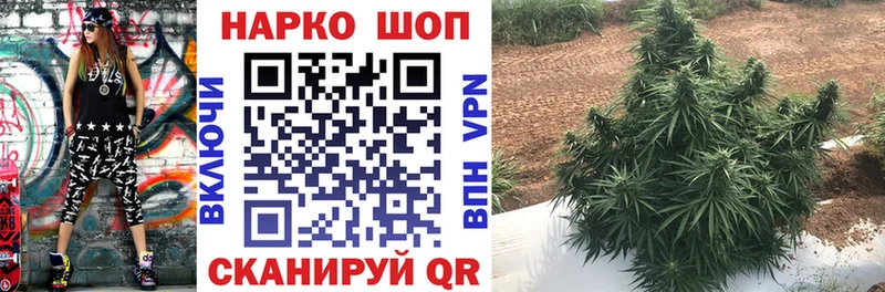 Сколько стоит Себеж Каннабис  гидра как войти  МЕФ  COCAIN  АМФЕТАМИН 