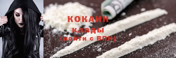 стафф Аркадак