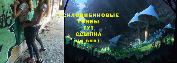 стафф Аркадак